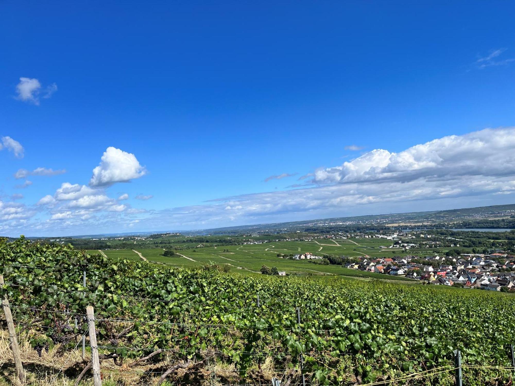 Haus Neugebauer-Garni, Johannisberg Exteriör bild